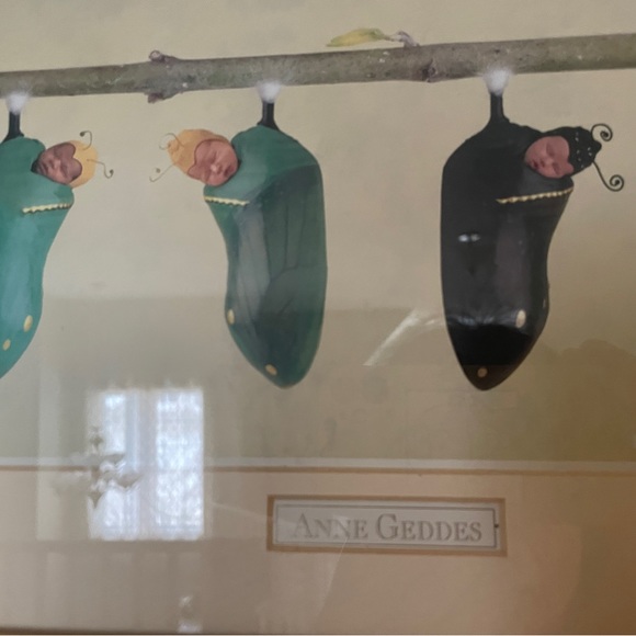 Anne Geddes Art With Gold Frame Made in Canada - Picture 2 of 6